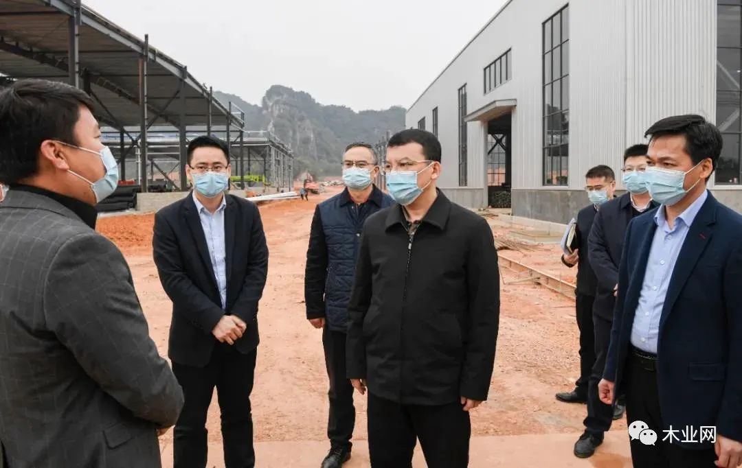 广西崇左市委书记到扶绥县调研木业产业发展情况