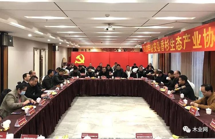 2021年融安香杉加工业产值达61亿多元