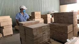 越南木材和非木材林产品出口瞄准180-200亿美元的目标