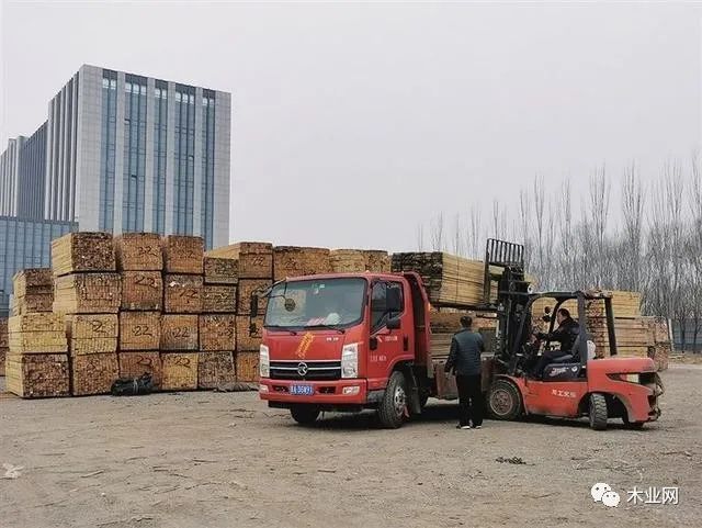 中欧班列助力山西木材进口