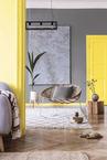 兰亭序硅藻泥：家里刷这两种颜色 一起“灰黄”腾达