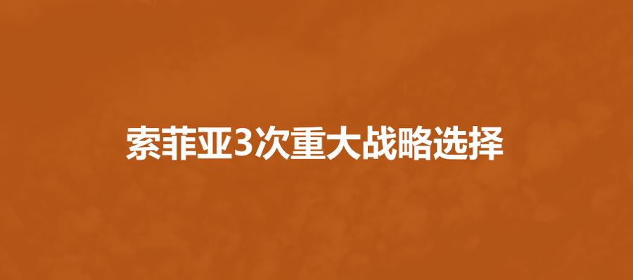 索菲亚的3次惊心动魄的战略选择与业务适配