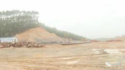 廣西鹿寨打造林業產業高質量發展示范樣板