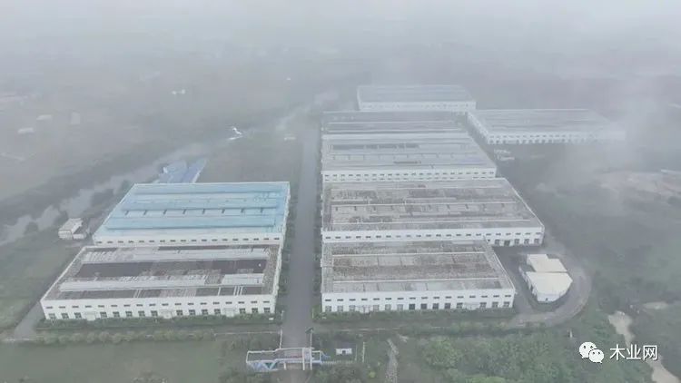 广西柳城力争打造产值破百亿木材加工产业集聚基地