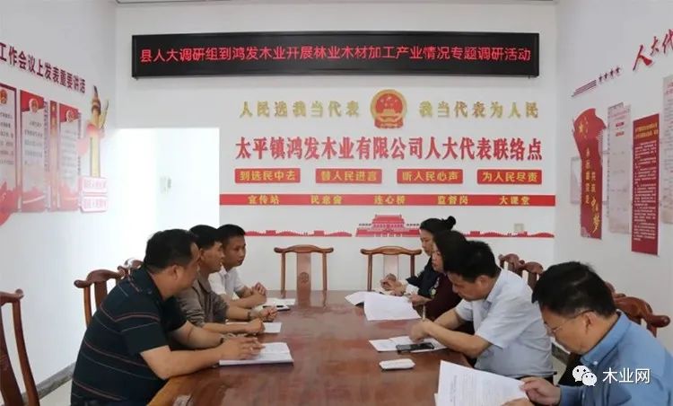 广西梧州藤县人大调研组到太平镇调研林业木材加工产业情况