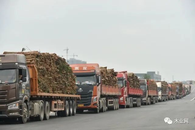 广西崇左宁明县朝百亿元木业目标大步迈进