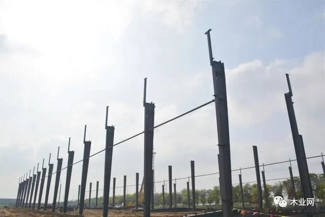 江苏淮安年产12万立方生态家具板项目计划12月竣工投产