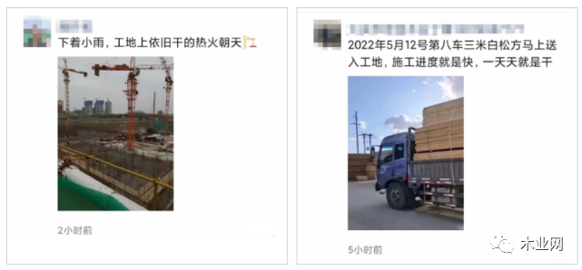 原木进口“量”“价”问题突显，终端木材价格或将受影响