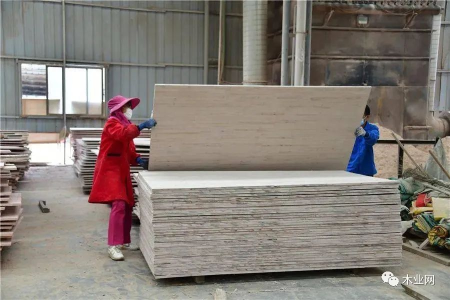 上亿元木材加工家具生产项目落地广西来宾忻城