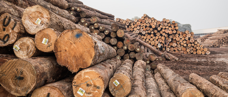 增长61.3%！前5个月越南家具木材出口预计达66亿美元