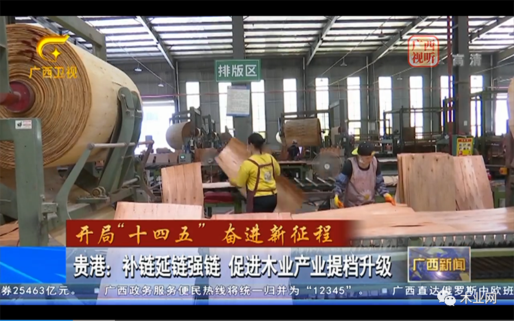 贵港：补链延链强链 促进木业产业提档升级