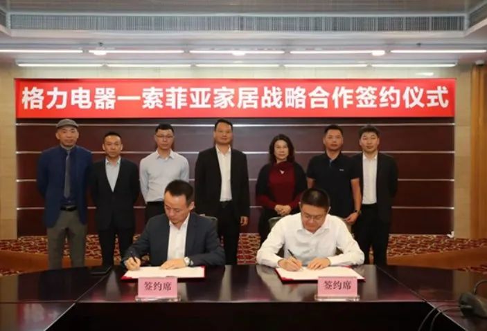 我乐&方太、索菲亚&格力……家居家电蜜恋后冷思考