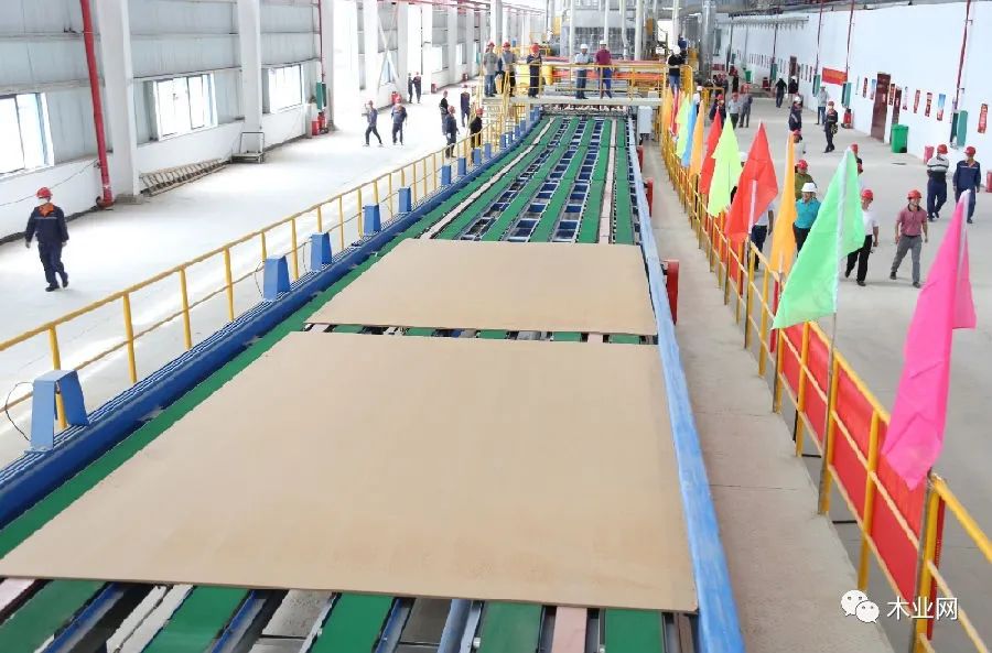 广西条低密度超厚纤维板生产线投产