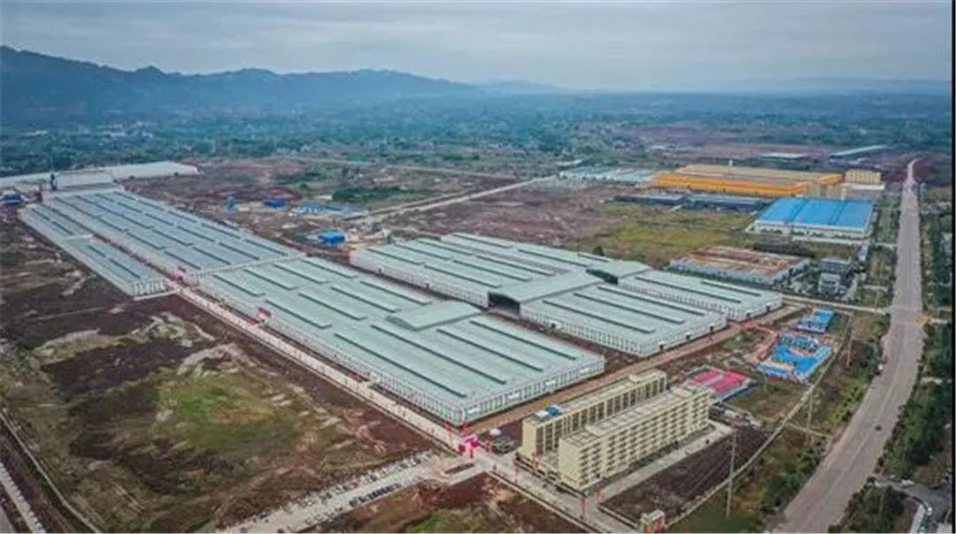 网传新明珠在重庆永川投资拿地1500亩