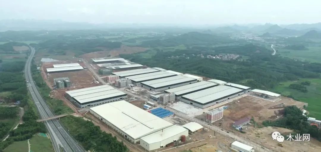 广西来宾兴宾区全力打造木材产业强区