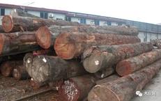 贵港市上半年木材加工业产值增长近四成
