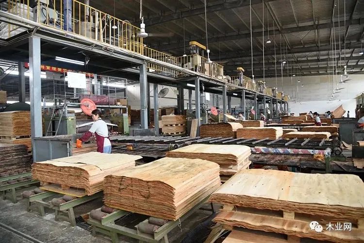 2020年广西鹿寨县林业企业规上工业总产值64.9亿元