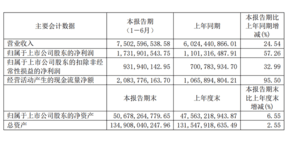 红星美凯龙:上半年实现净利17.32亿 同比增长57.26% 