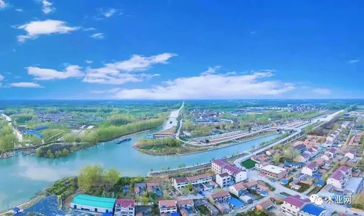 沭阳桑墟“四个一批” 促木材产业转型升级
