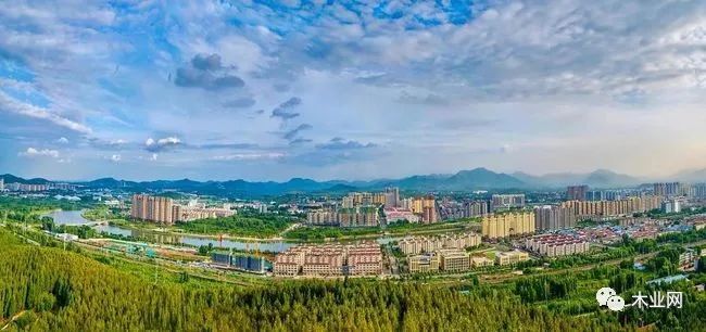 费县木业占临沂市税收总量47.3%