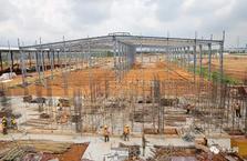 加班加点，港南新塘木业产业园加速建设！