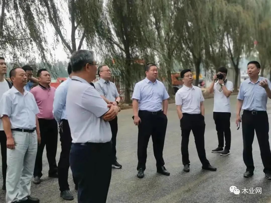 临沂兰陵县棠林工业园浸渍纸专业园区建设推进现场会召开