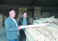 菏泽大屯镇2020年板材产值达59亿 利税1.5亿元