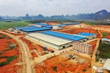 总投资52.48亿元！中国来宾超级红木生产加工全球枢纽中心开工！