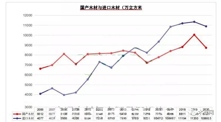 中国针叶木材市场前景看好！2021年进口针叶原木增长17.8%！