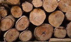 澳洲面临40多年来严重木材短缺！