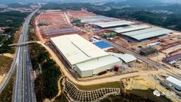 广西来宾兴宾区木材加工业年产值突破58.3亿元！