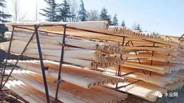 600户人家竟有230多家板材厂！临沂兰山打响木业产业突围战！