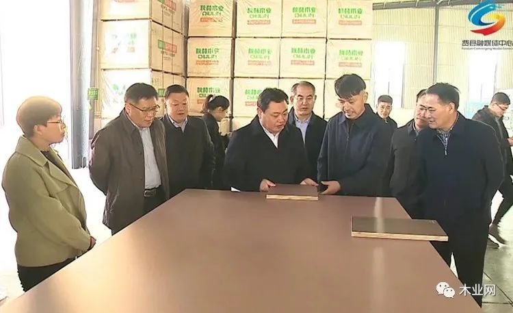 费县领导调研探沂镇木业全产业链发展情况
