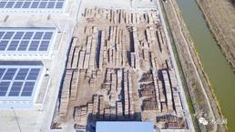 大丰港多措并举推动进口木材量稳步提升